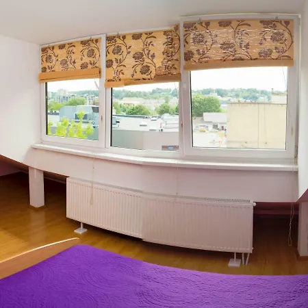 Apartment Uzupis *
